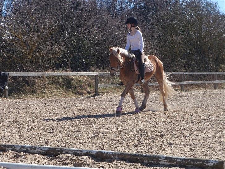 Anden særlig race  Smilla <3:i billede 14