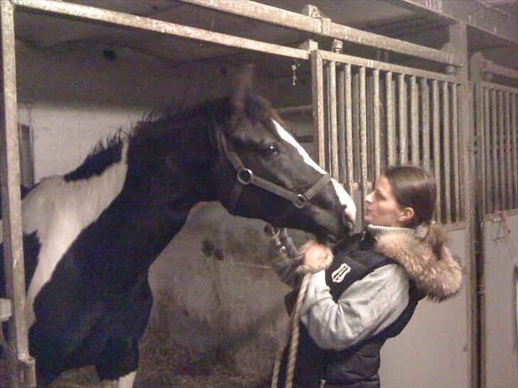 Pinto Samina á Godthaab - Samina gav et kæmpe smæk kys (+ flere) da jeg besøgte hende i Frederikssund :D DEEEJLIG!! billede 9