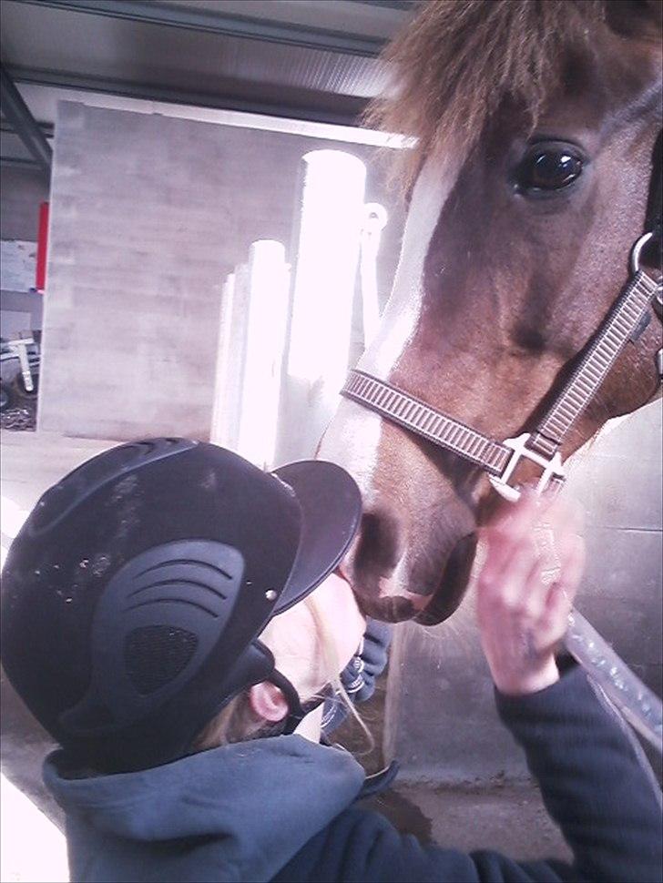 New Forest Wonder*Mit savn!*<333 - Cause girl your amazing, just the way you are! - Tak for billedet!!! billede 11