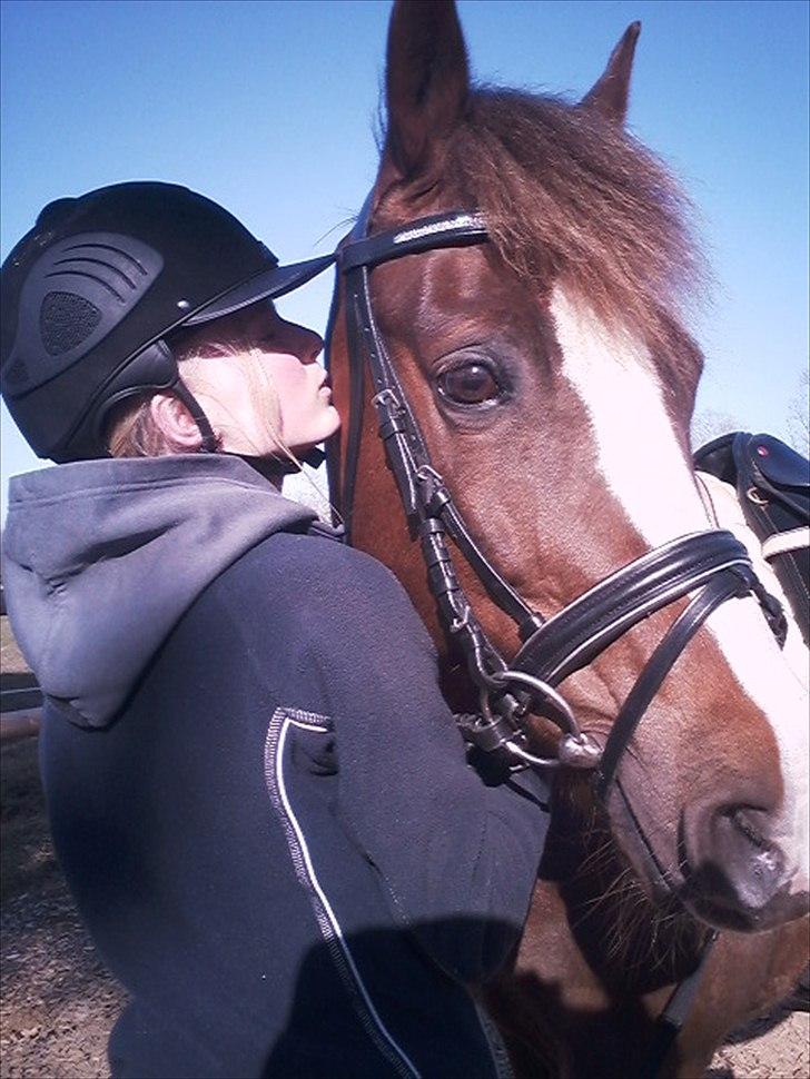 New Forest Wonder*Mit savn!*<333 - Jeg vil gå igennem ild og vand for dig, du betyder alt!<3 billede 12