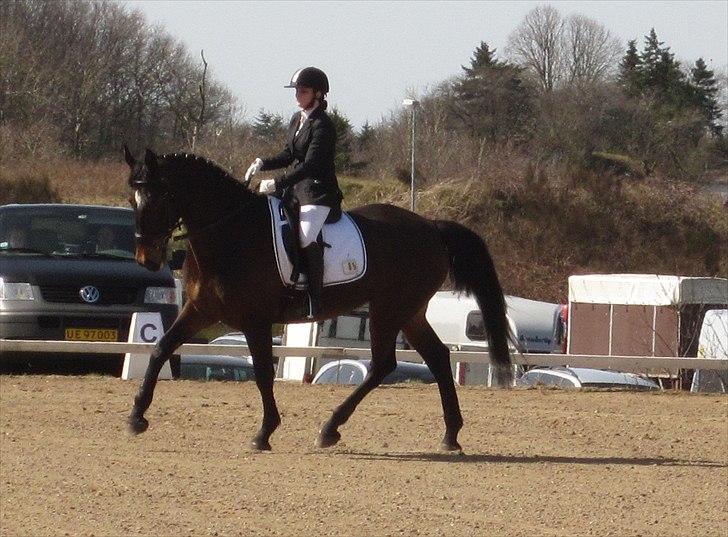 Anden særlig race Spangbogaards Felix [Redet] - LC2 10/4 2011, 65,35 % - 2. plads billede 2