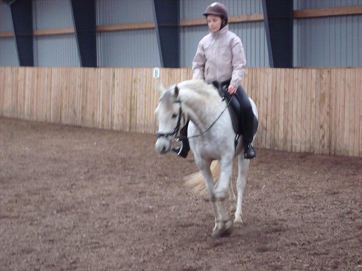 DSP Holmgaards Galant SOLGT billede 6