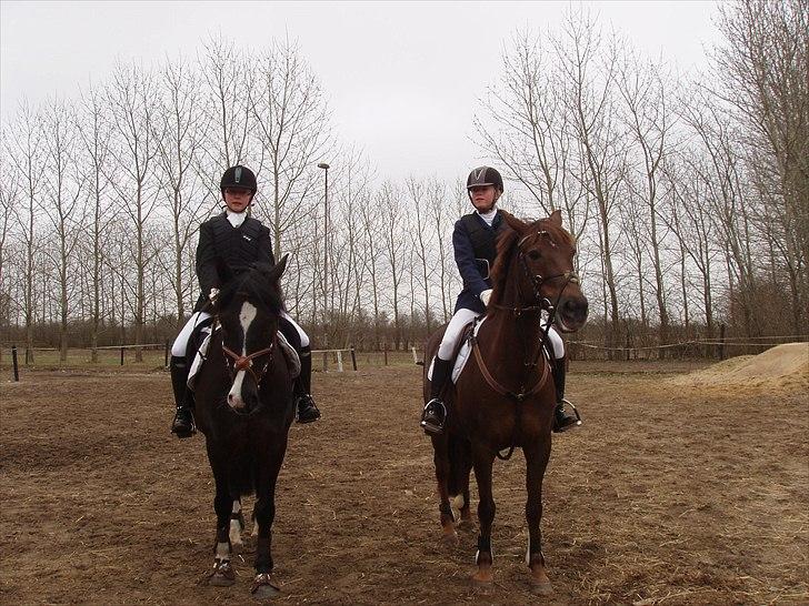 Anden særlig race Black Star - Black Star og Amalie, Nicky og Helene til stævne i Højris Rideklub.  billede 6