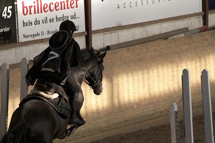 Anden særlig race Black Star - Black Star og jeg til Fastelavnsstævne, vi er Zorro og hans hest. Foto: Barkholtfoto.dk billede 8