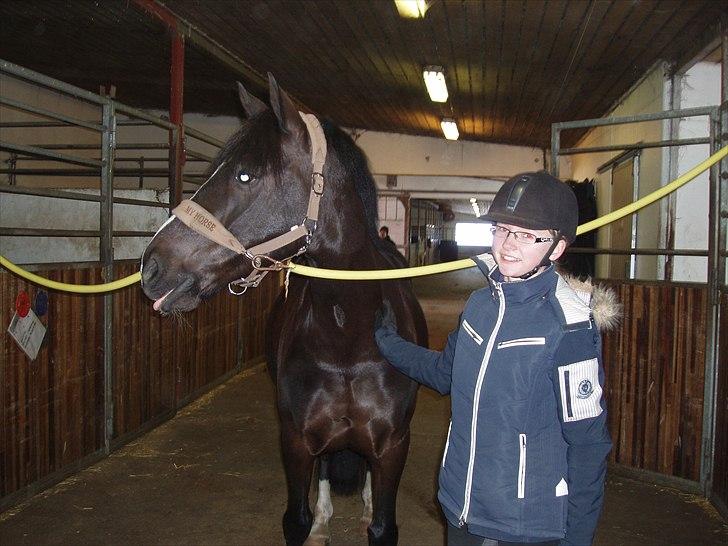 Anden særlig race Black Star - Hihi, Black Star rækker tunge til Big Boy. billede 17