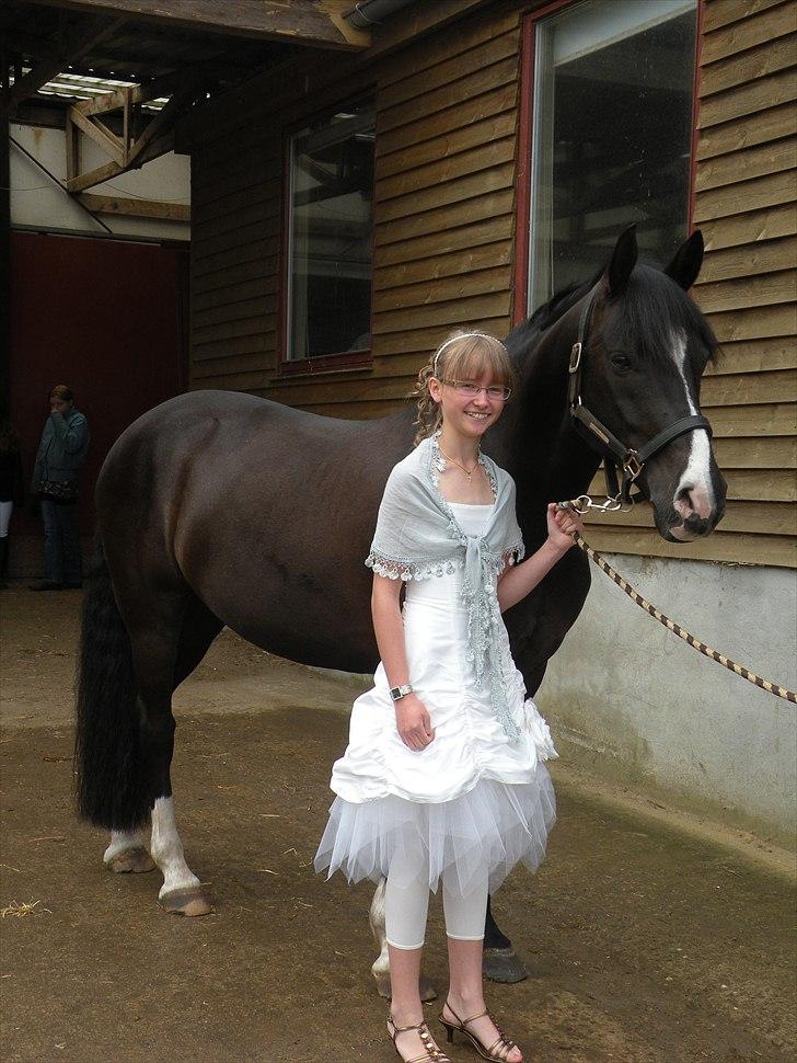 Anden særlig race Black Star - Black Star og jeg til min konfirmation. Jeg blev så glad for overraskelsen og for at se ham! billede 2