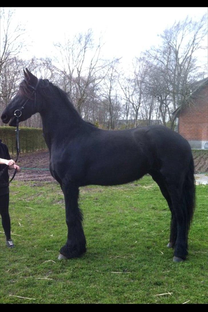 Frieser Chelly<3 billede 10