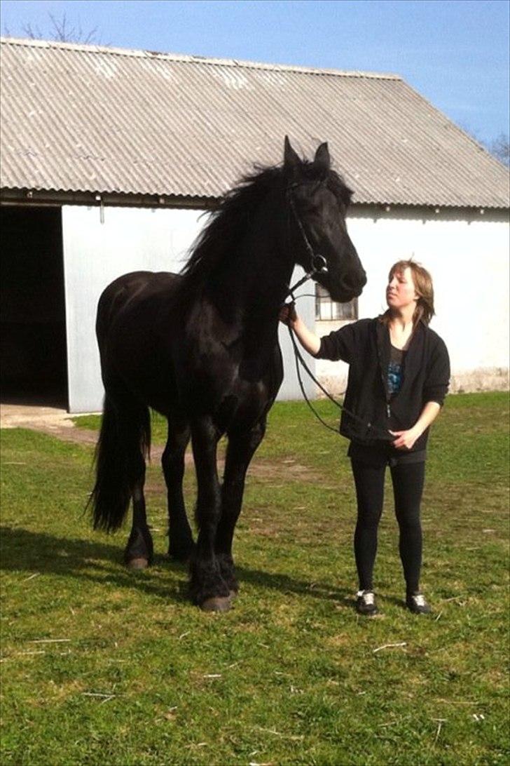 Frieser Chelly<3 billede 13