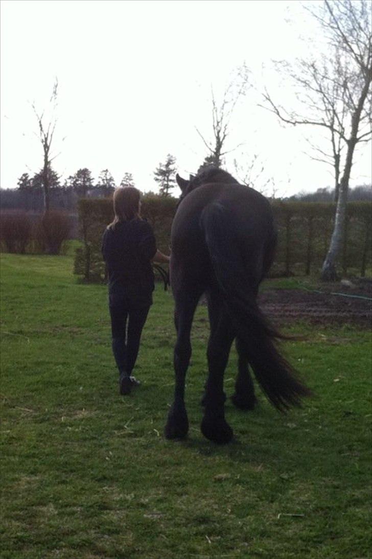 Frieser Chelly<3 billede 14