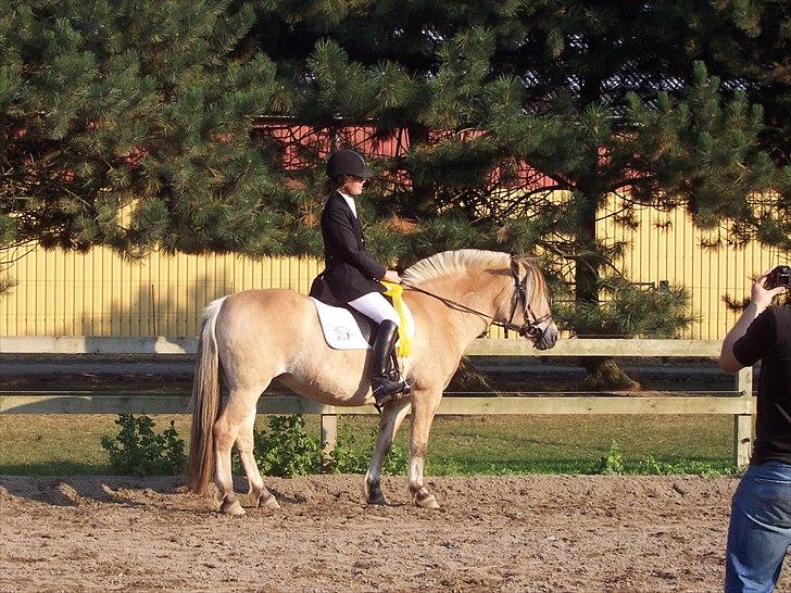 Fjordhest Cirkeline Møldrup - Cirkeline og jeg som sjællandsmestre 2005 billede 10