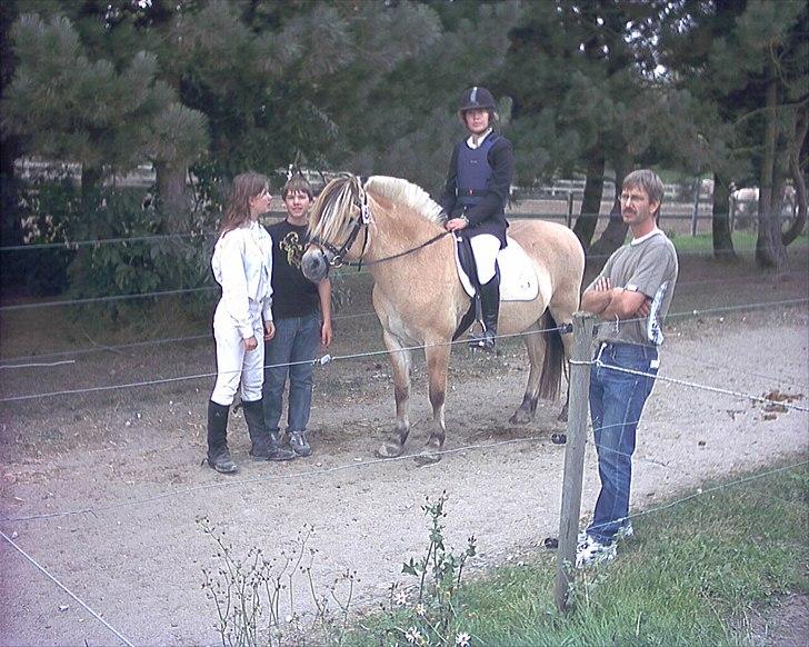 Fjordhest Cirkeline Møldrup - Cirkel og jeg inden vi skulle springe omspring til sjællandsmesterskabet billede 8