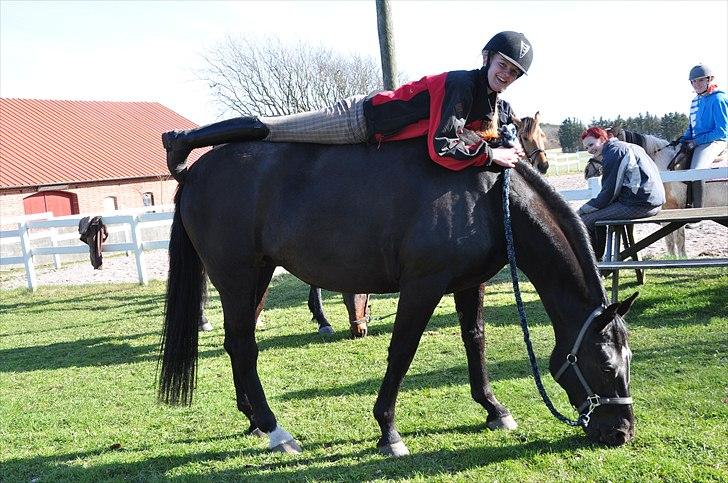 Oldenborg Cassiopeia (TUT) - Hygge efter ridetur:D  Foto: www.lvh-foto.dk billede 11