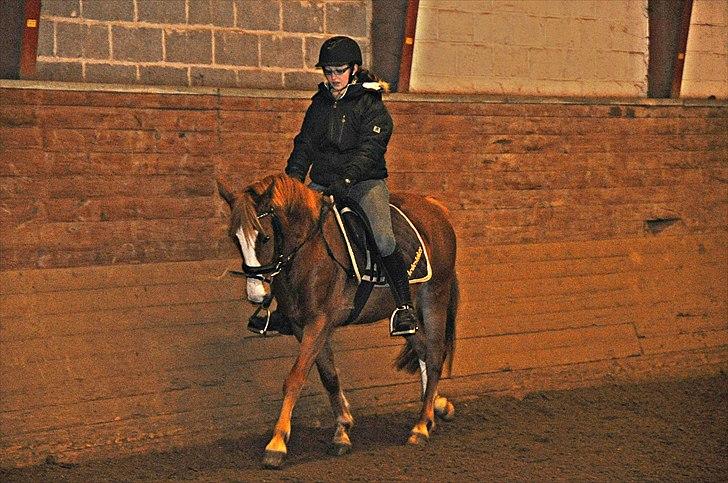 DSP Fie Engholm. - Dressur træning.  billede 1