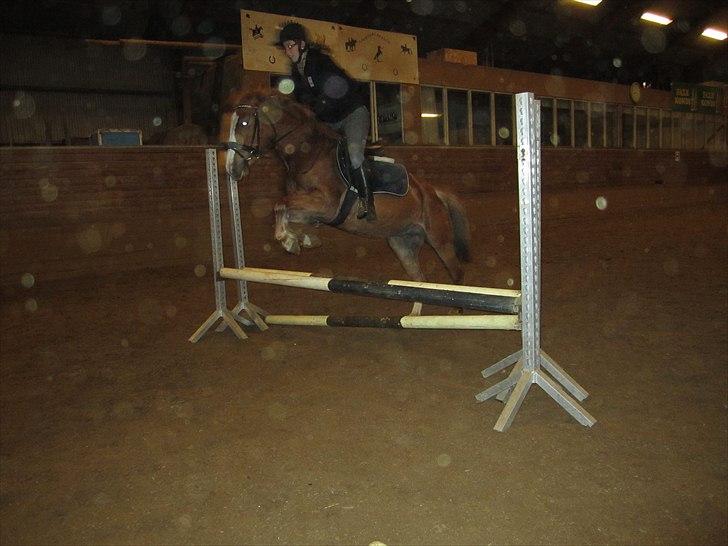 DSP Fie Engholm. - Springe kan hun også :-)  billede 2