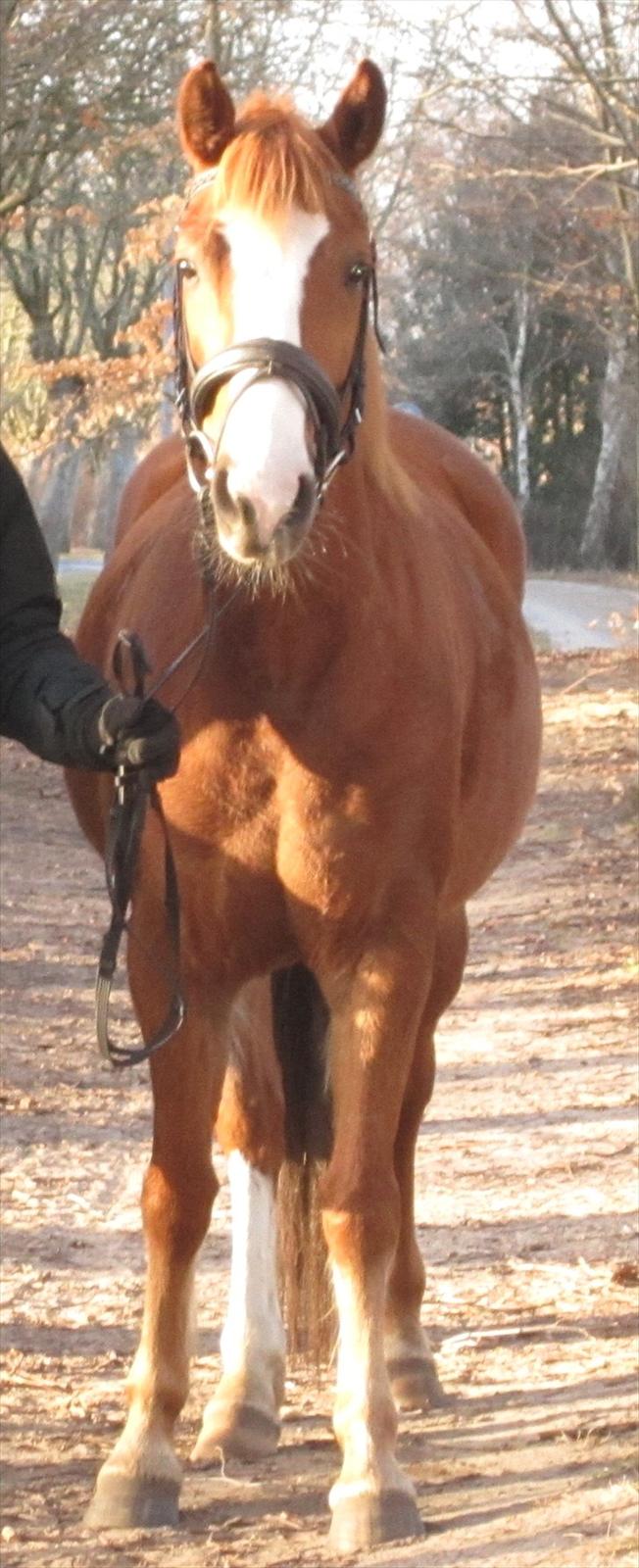 DSP Fie Engholm. - så sød. <3  billede 3
