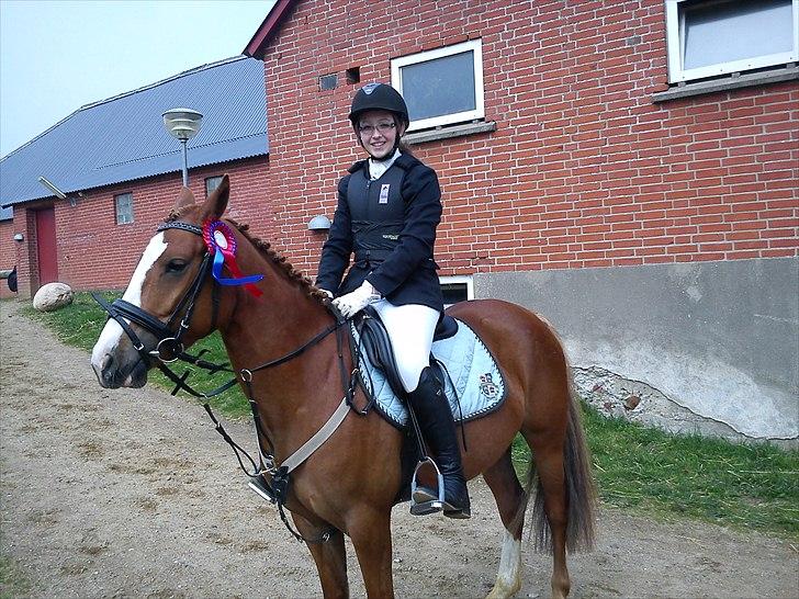 DSP Fie Engholm. - første springstævne på hende :-) 0 runde i le B0 billede 5