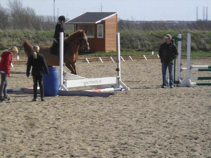 Anden særlig race Rabella - Her får jeg undervisning i spring af Hans Grønbjerg billede 2