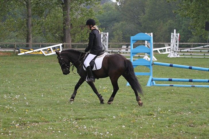 New Forest Banda - :) billede 5