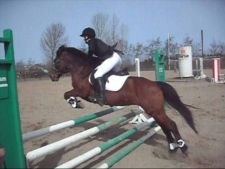 Anden særlig race Flika billede 11