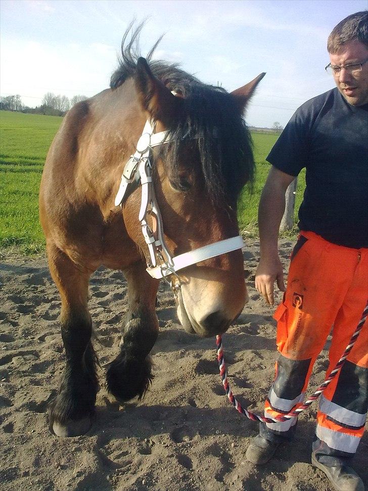 Belgier Rasmus  - Rasmus med sit fin nye udstyr.  billede 13