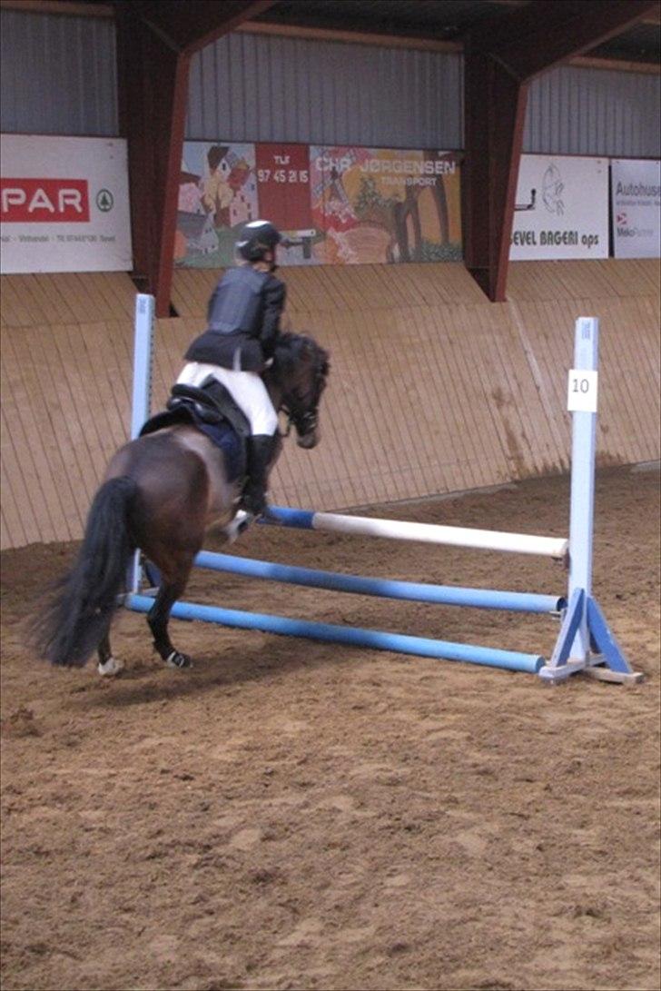 Anden særlig race Dyrkærgårds Atlantis - Lc joker spring klubstævne i Sevel Rideklub d. 16 april 2011. Foto Mor billede 15