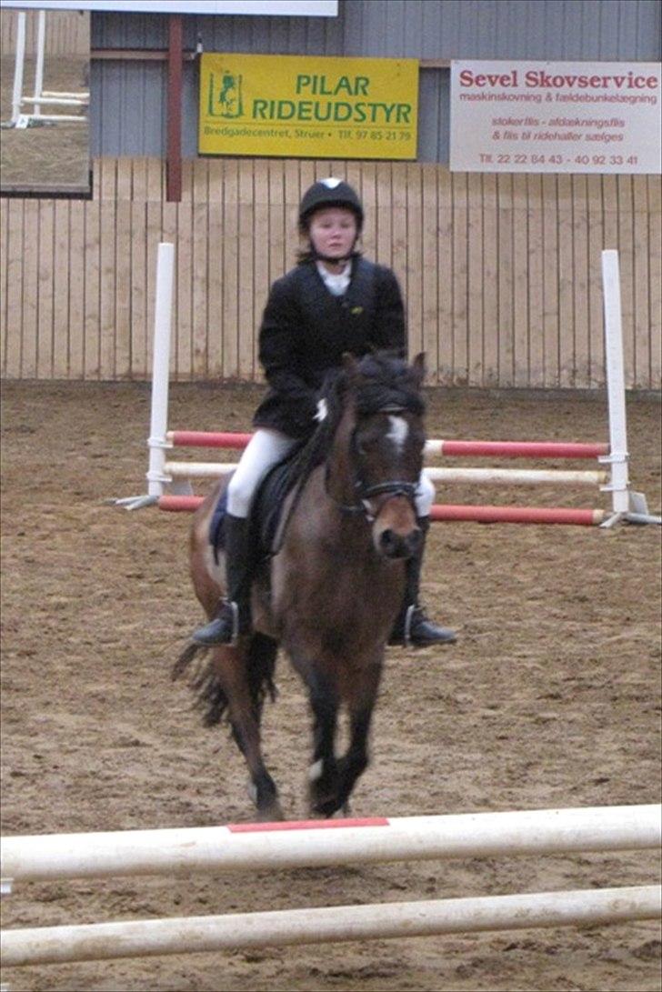 Anden særlig race Dyrkærgårds Atlantis - Ld Klubstævne i Sevel Rideklub d. 16 April 2011: Foto Mor billede 18