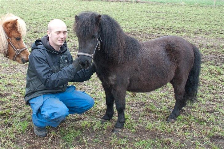 Shetlænder <3 <3 Werner <3 <3  - Werner og farmand.... billede 13