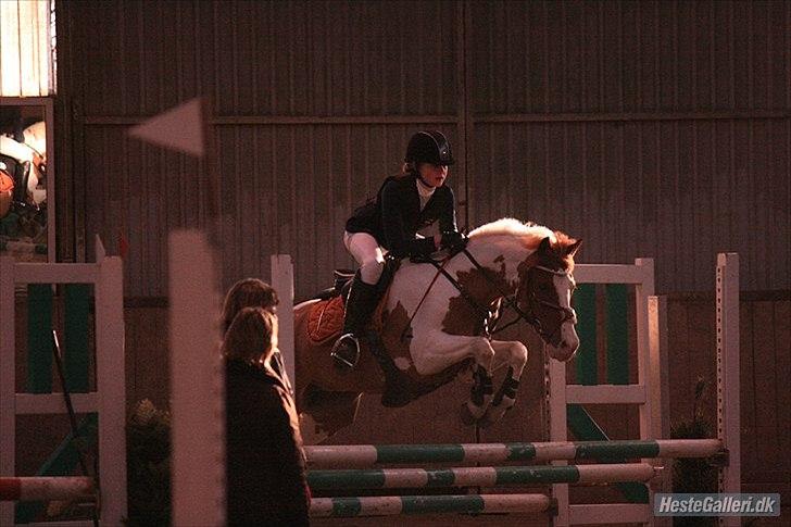 Anden særlig race Magic Sunnyboy B-pony - mb 0 fejl 
stjerne pony ;) billede 12