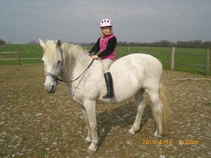 Anden særlig race Ragna billede 12