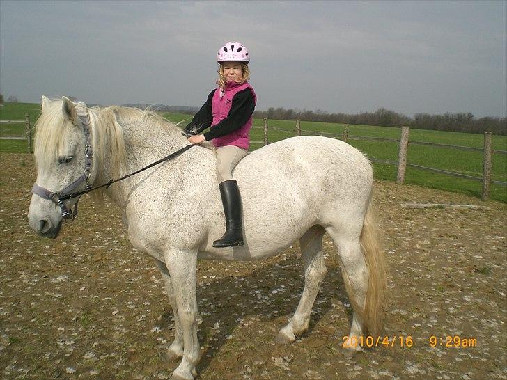 Anden særlig race Ragna billede 13