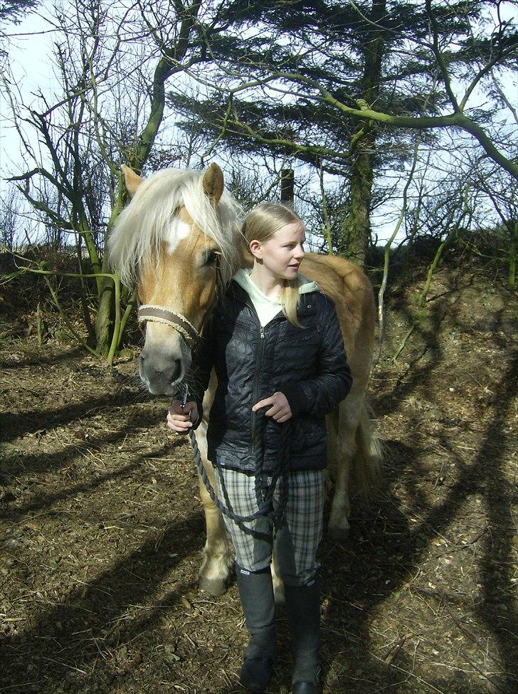Haflinger Veronica-leveret tilbage - 4. *første dag* Mig og Ronika <3 billede 5