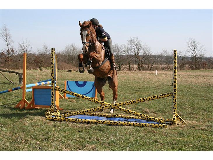 {{currentPhoto.altText}} billede {{currentPhoto.number}}