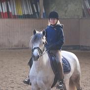 Connemara Irish Rose