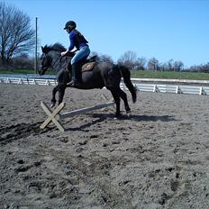 Anden særlig race Sorte Per<3