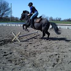 Anden særlig race Sorte Per<3