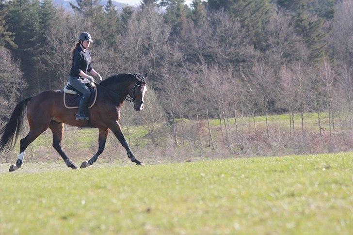Anden særlig race Conan - I påskeferien :) billede 5