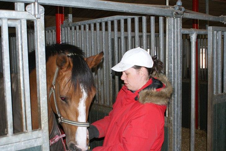 Anden særlig race Michellina billede 2