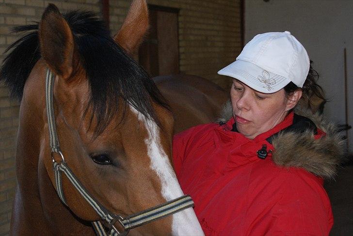 Anden særlig race Michellina billede 5