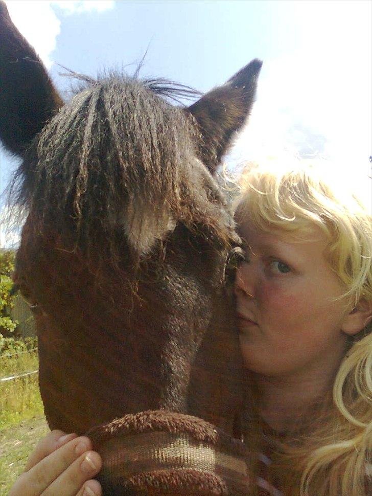 New Forest † Belina R.I.P † - vi to kan bestige høje bjerge og dybe dale :) billede 2