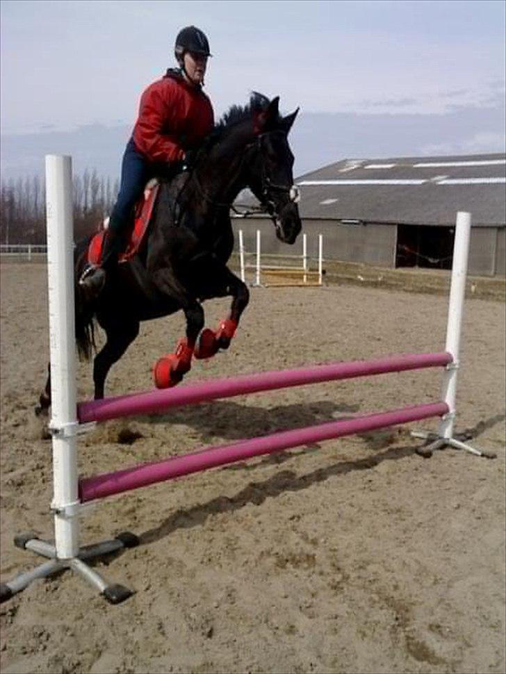 Traver BG Hannah (Tidl. part) - uderdørs spring billede 16