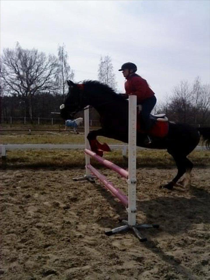 Traver BG Hannah (Tidl. part) - uderdørs spring billede 17