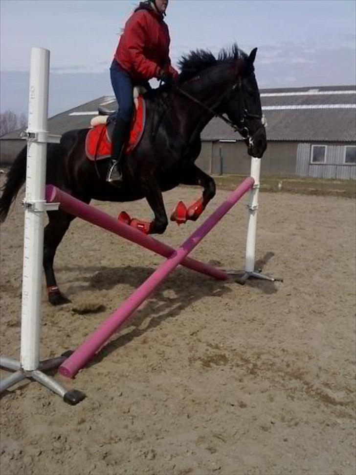 Traver BG Hannah (Tidl. part) - uderdørs spring billede 19