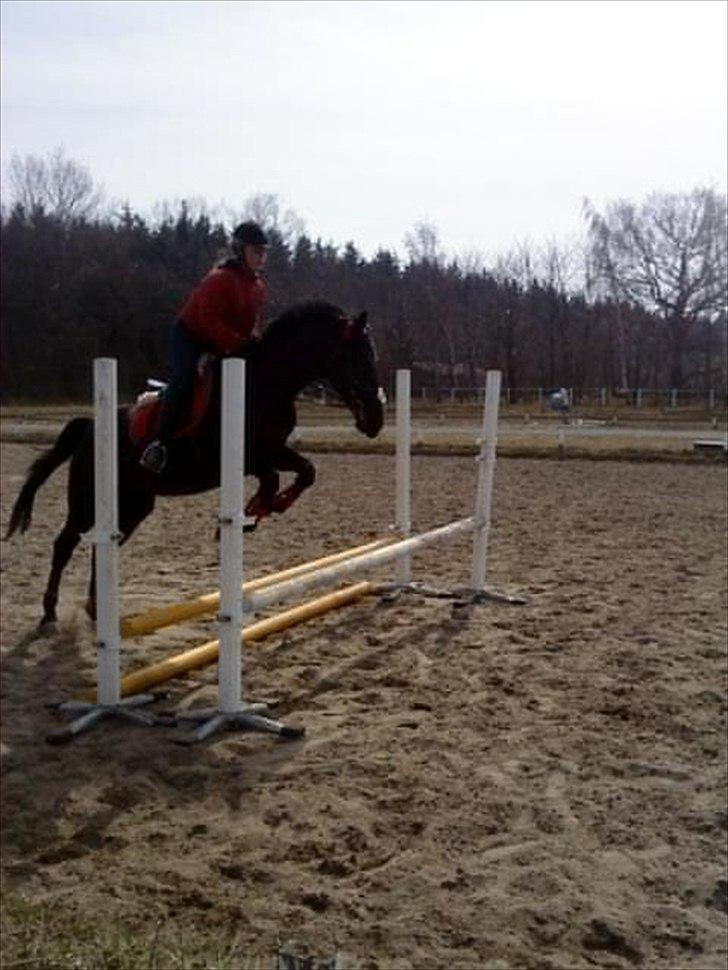 Traver BG Hannah (Tidl. part) - uderdørs spring billede 20