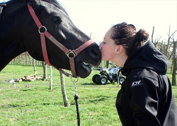 Sportsaraber (A) helleruphus pandora - en af de første dage, møsser! allerede blevet glad for hende billede 5