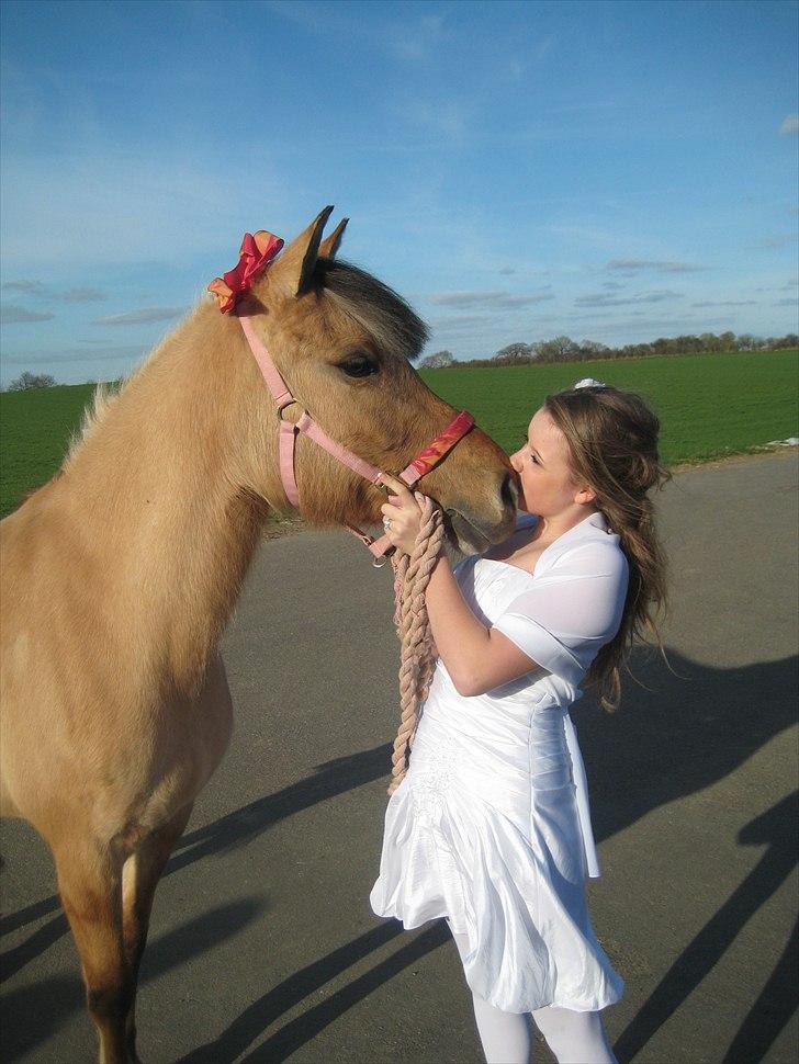 Anden særlig race Soreya  - konfirmation d. 17/4-2011.<3  billede 18