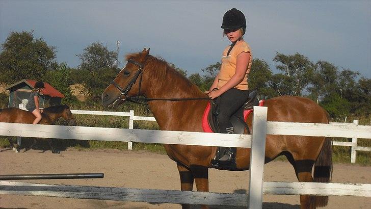 New Forest Fanta - rider med min vidende billede 9