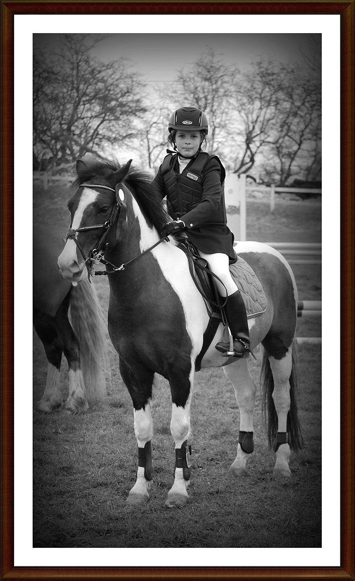 Anden særlig race Søndergårdens Negro billede 14