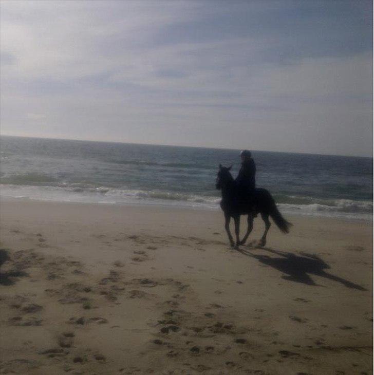 Traver Move I T - Første gang jeg var på stranden med hende :) . billede 6