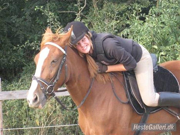 Traver Niva Wardan  billede 2