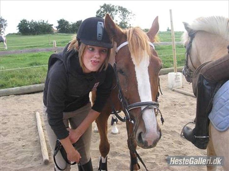 Traver Niva Wardan  billede 4